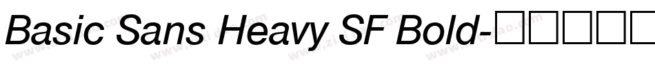 Basic Sans Heavy SF Bold字体转换